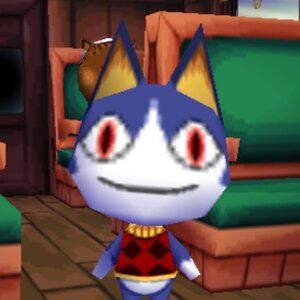 Meet your Posher, Jer